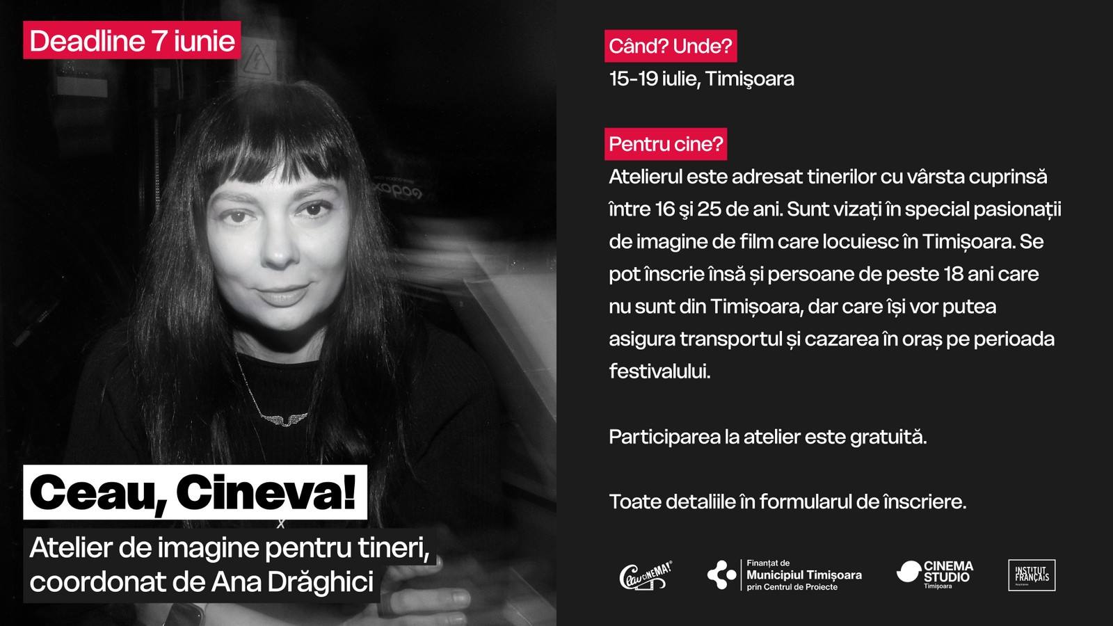 Ceau, Cineva 2026 Ana Draghici Website cover (16-9) 1920x1080px