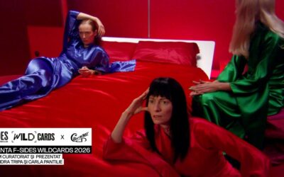 Primul program curatorial F-SIDES Wildcards se vede la Ceau, Cinema!